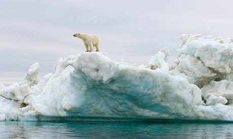 Polar bear standing atop an iceberg floating in the Beaufort Sea, Arctic Ocean, Alaska