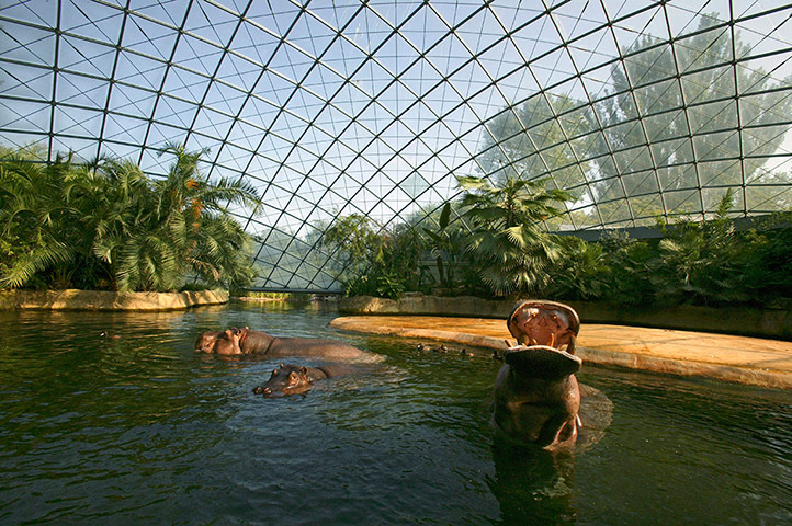 zoo buildings: Hippopotamus House in the Berlin Zoo