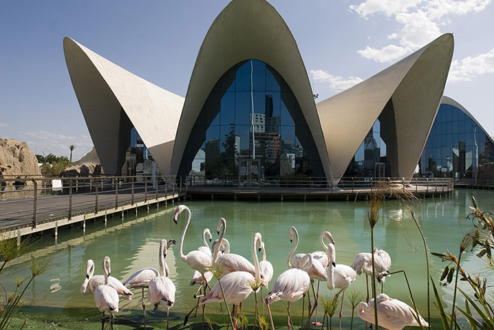 zoo buildings: Felix Candela's Marine Centre in Valencia, Spain