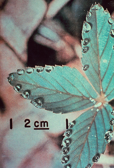 Steve McQueen: Once Upon a Time, 2002, slide