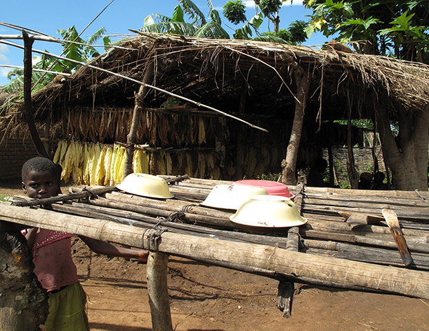 UN Water Day: Sanitation and water in Malawi