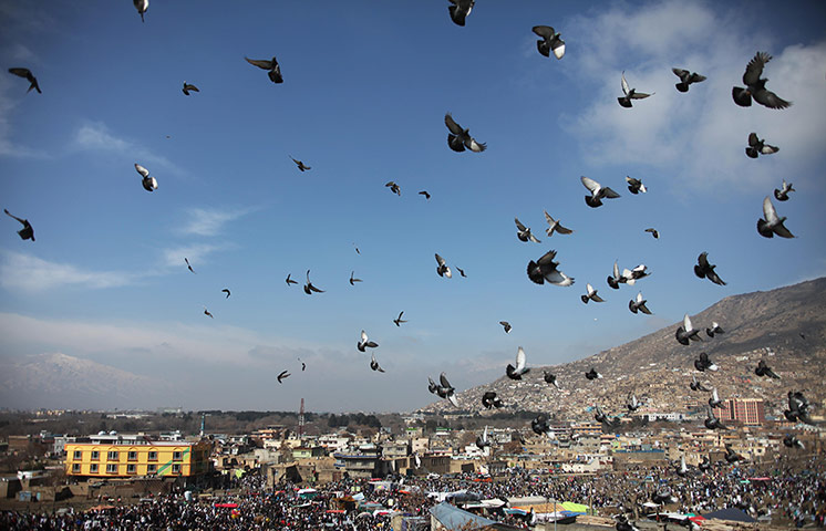 24 hours: Kabul, Afghanistan: Pigeons fly over the sky during Nowruz celebrations