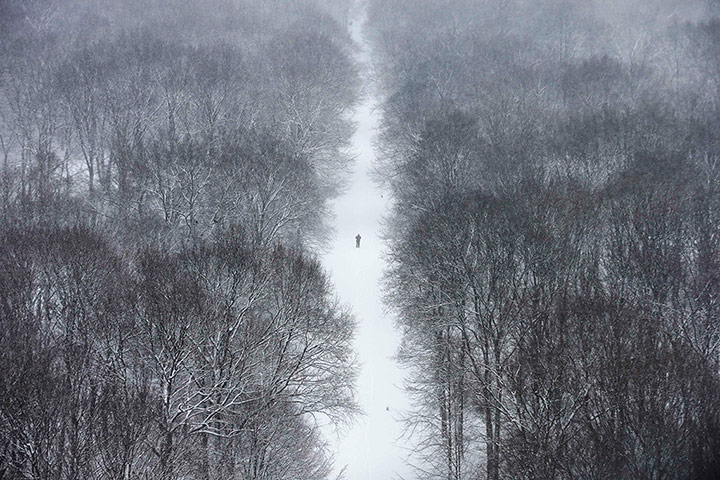 20 photos: Tiergarten park
