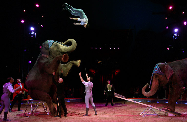 20 photos: The Swiss National-Circus Knie