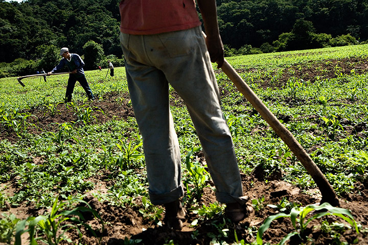 Modern slavery: enslaved by debt - Guarani Indians in Bolivia