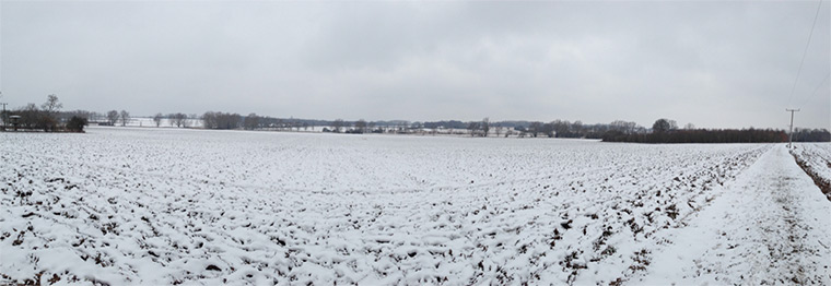 Readers' snow pictures: 83/365 Windswept