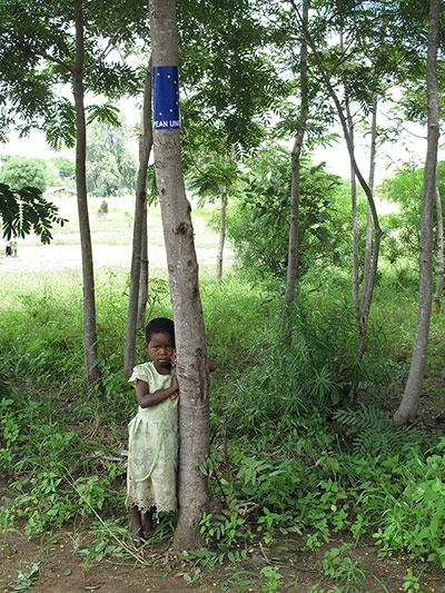 Sustainable and efficient stove production in Malawi