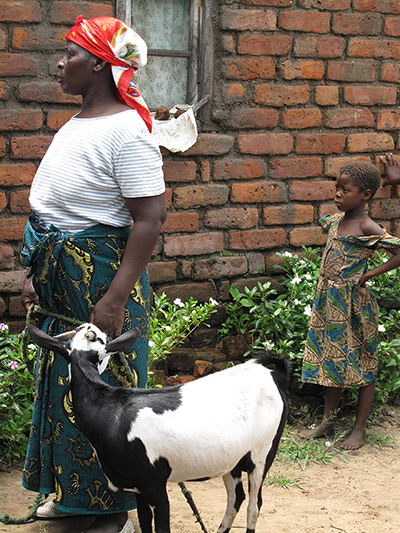 Sustainable and efficient stove production in Malawi