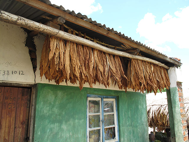 Sustainable and efficient stove production in Malawi