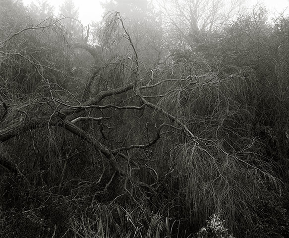 Guardian Camera Club: A review of Barnaby Kent's portfolio