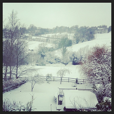Readers' snow pictures: No this #winterwonderland thing is not doing it for me anymore!