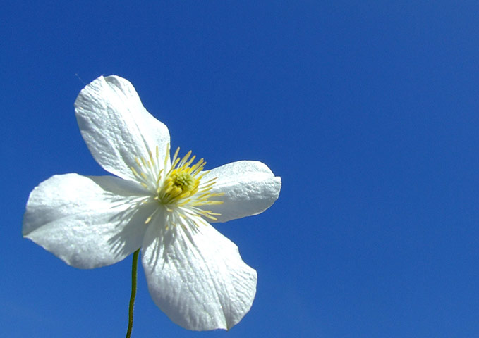 Autism photo project: Standing alone