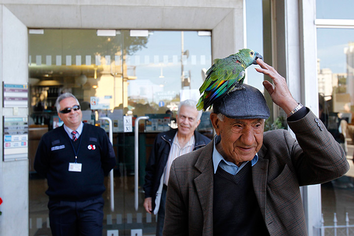 Cyprus banks: A man walks with a parrot on his hat in front of a Bank of Cyprus
