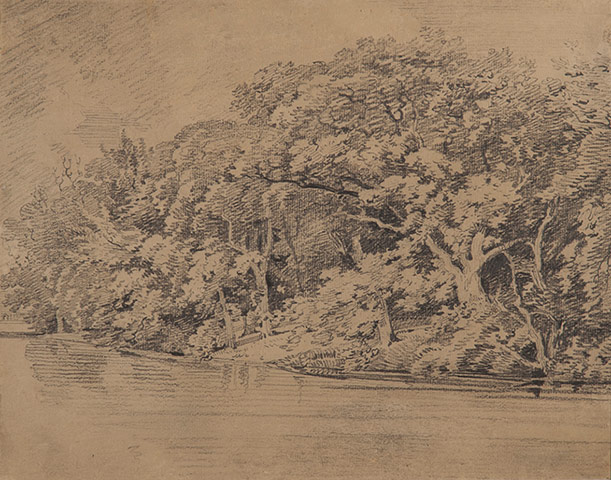 exhibitionist3003: In Cloud Country: Abstracting From Nature