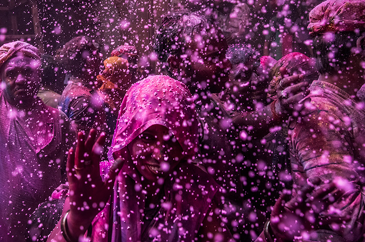 Holi festival: Hindu devotees play with colour at the Banke Bihari  in Vrindavan, India