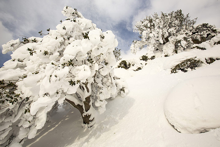 Week in wildlife: Snow in the Lake District, Cumbria, Britain - 24 Mar 2013