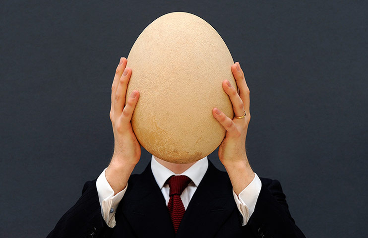 20 photos: Extremely Rare Complete Elephant Bird Egg