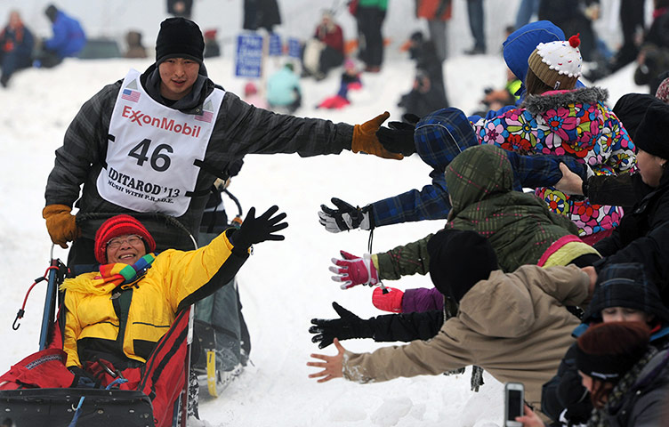 Iditarod dog race : The Iditarod dog sled race in Anchorage