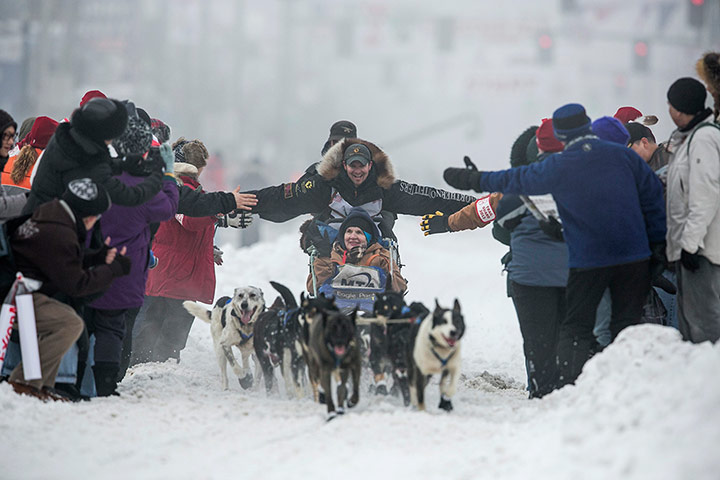 Iditarod dog race : The Iditarod dog sled race in Anchorage