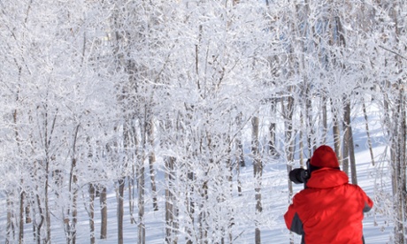 A photographer take photos of rime-covered trees at Jiangbin Park, China.