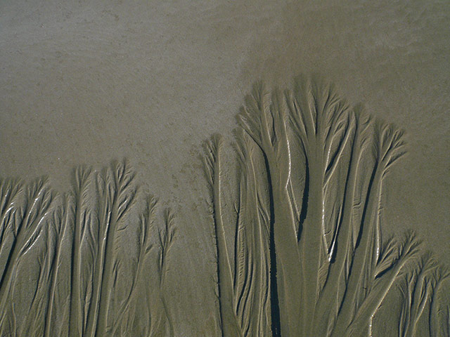 Your Pictures - Transform: markings on sand 