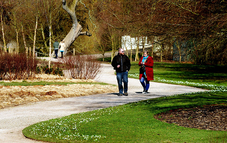 Spring : Spring weather, Stoke