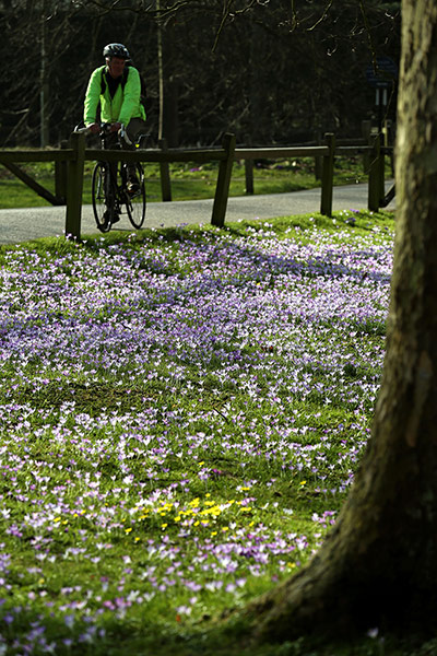 Spring : Spring weather in Cambridge