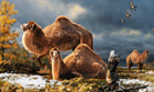 Fossilised giant camel bone discovered in High Arctic