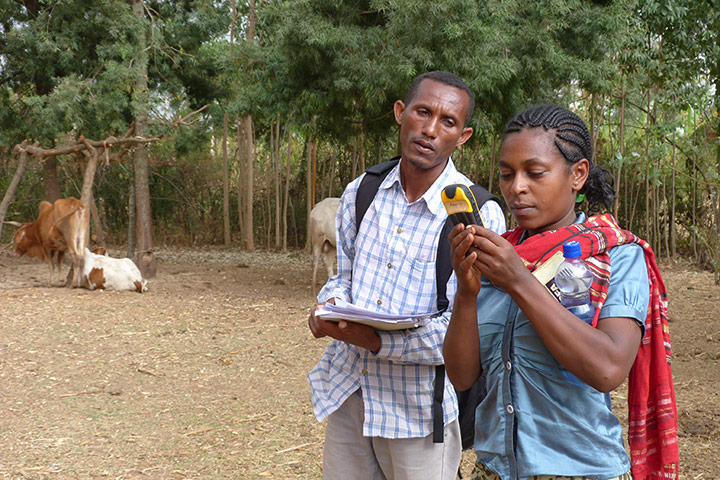 International Women's Day: International Women's Day