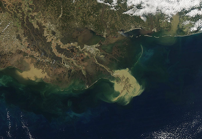 Satellite Eye on Earth: Mississippi River delta
