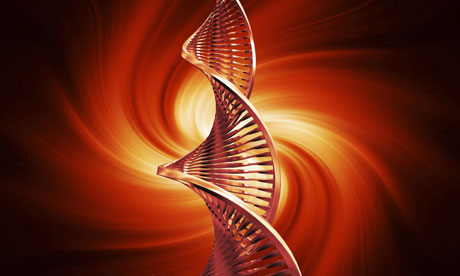 DNA strands on abstract background