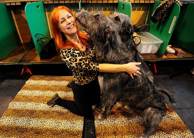 Crufts 2013 gallery: Caroline Sheppard from Kings Lynn