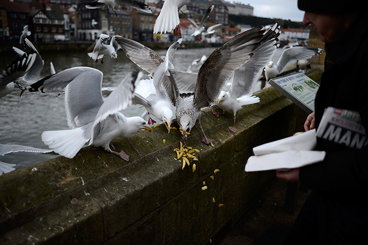 24 hours in pictures: A man feeds seagulls with his leftover chips