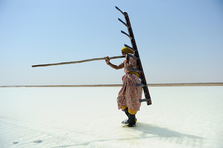 24 hours in pictures: Indian salt worker with rake