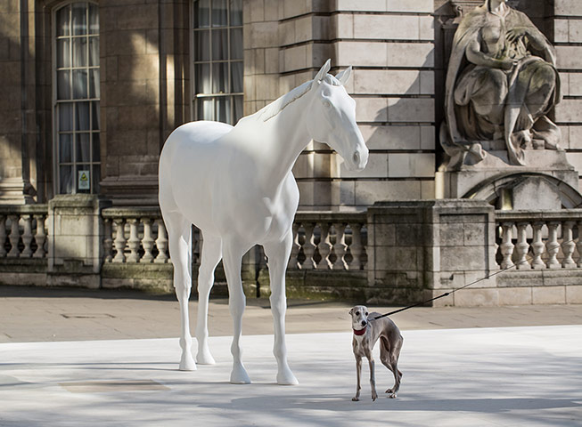 20 Photos: Flint the dog next to a new sculpture by Mark Wallinger
