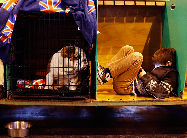 20 Photos: A boy and a bulldog enjoy a moment of calm at the Crufts Dog Show in Birmingham