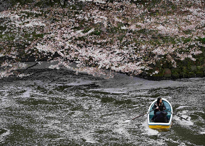 24 hours: Tokyo, Japan: Visitors ride in a boat in the Chidorigafuchi moat