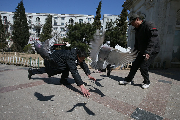 24 hours: 38 h7n9 bird flu cases confirmed in china