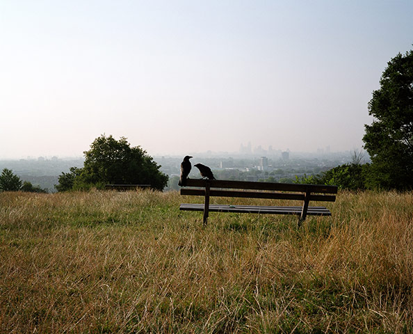 Photo Books: The Heath by Andy Sewell