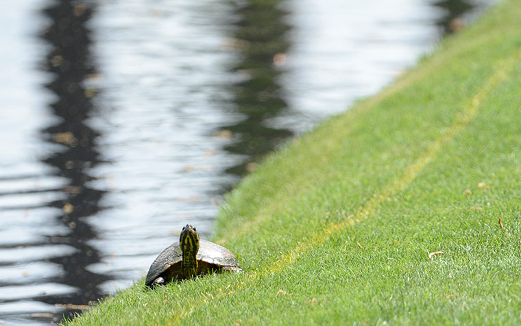 Masters Day two: Masters Day two