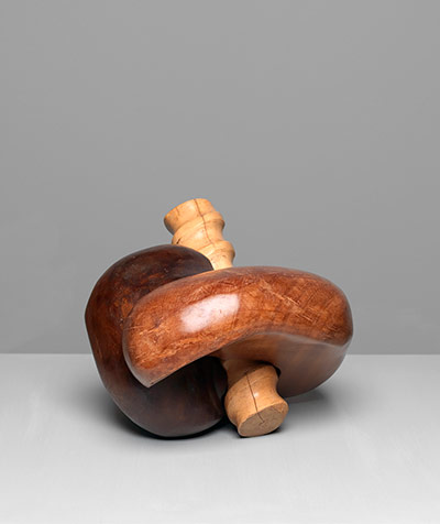 Saloua Raouda Choucair: The Screw 1975-7