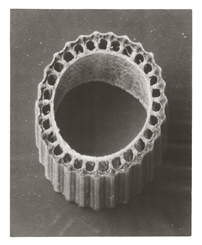 Karl Blossfeldt: Rough Horsetail - cross section of stem