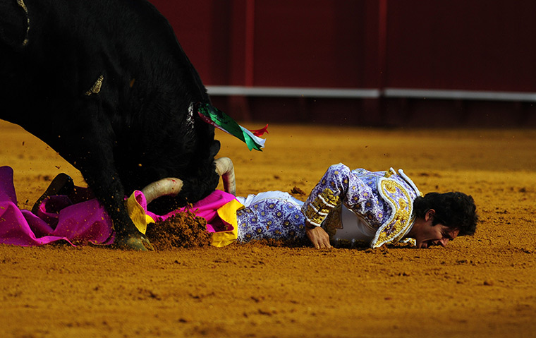 24 hours in pictures: Seville, Spain: French matador Sebastian Castella is gored by a bull