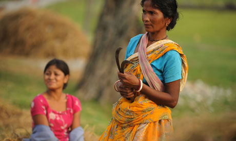 rice farmer