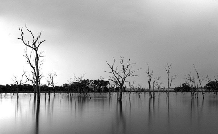 Guardian Camera Club: A review of Jack Davenport's portfolio