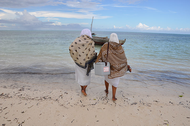 Health workers carrying vaccines wade out to a sailing boat in Zanzibar