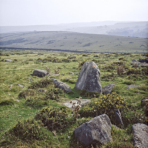 Exhibitionist2004: Nancy Holt