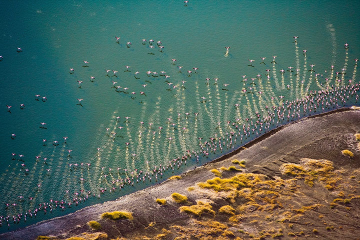 rift valley from above: Flamingo Lake, Central Island, Lake Turkana, Kenya