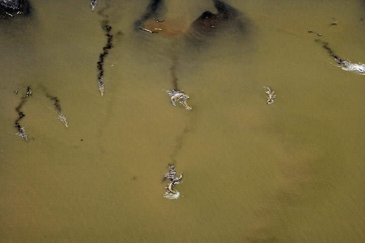 rift valley from above: Lake Chamo, Ethiopia