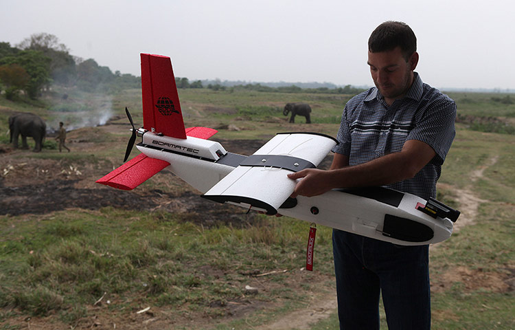 Week in wildlife: Drones to monitor wildlife